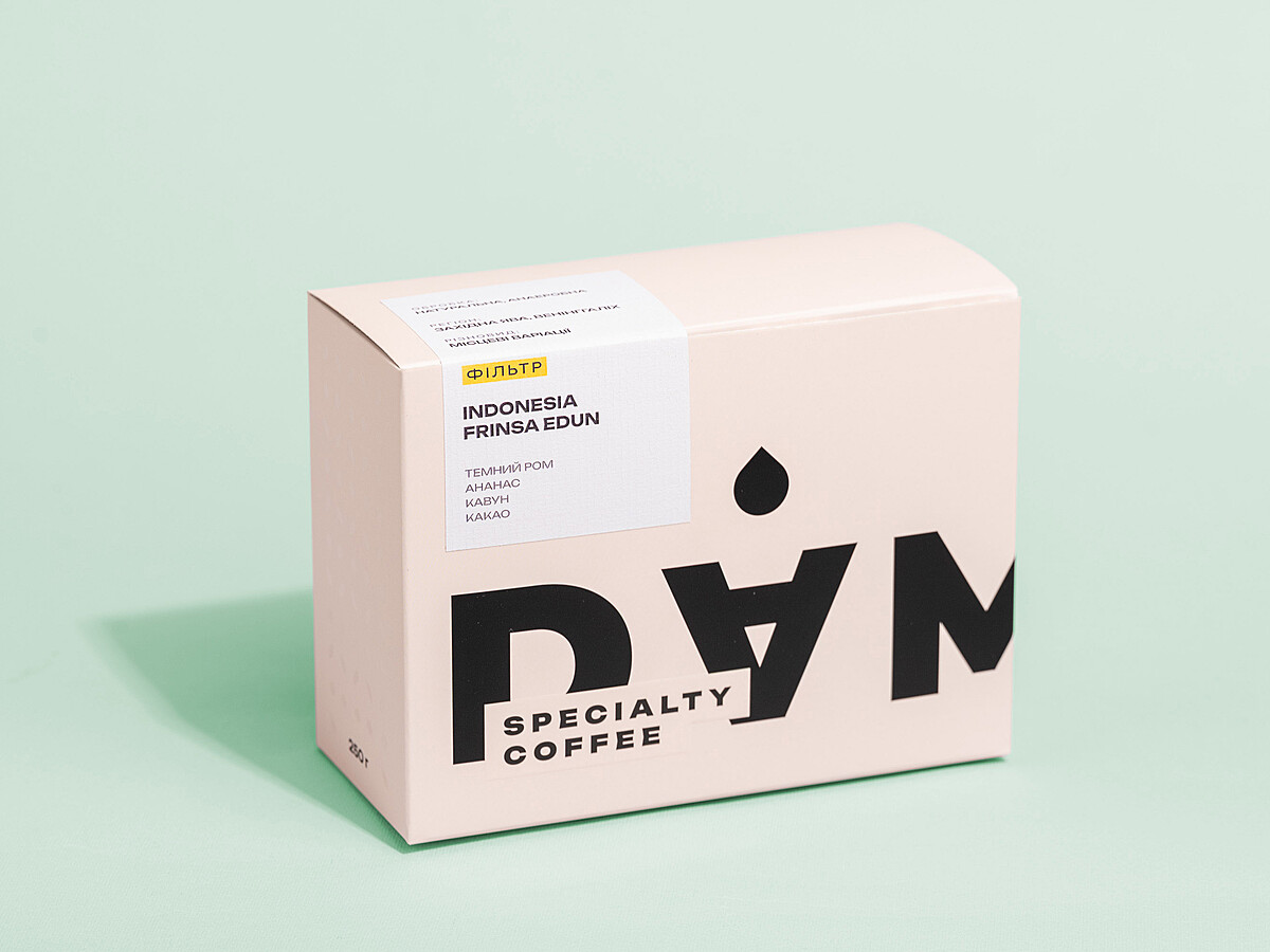 Indonesia Frinsa Edun